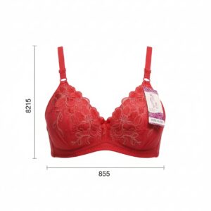 Fancy Single-Padded Bra